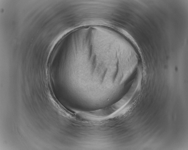 X0000053080996200508012001