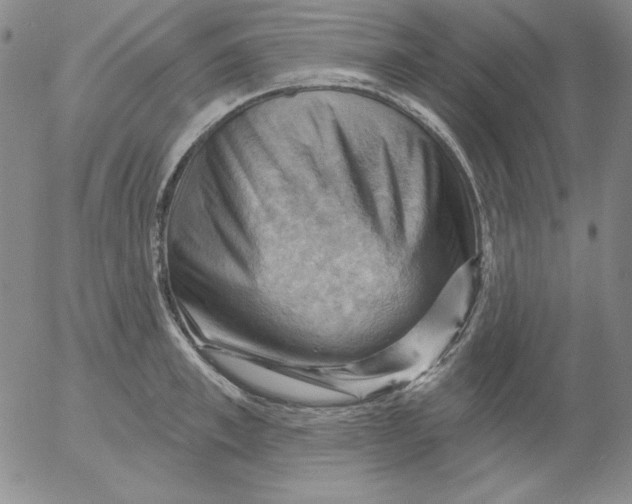 X0000053080997200508012001