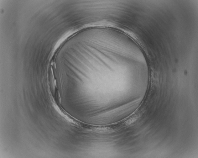 X0000053080998200508012001