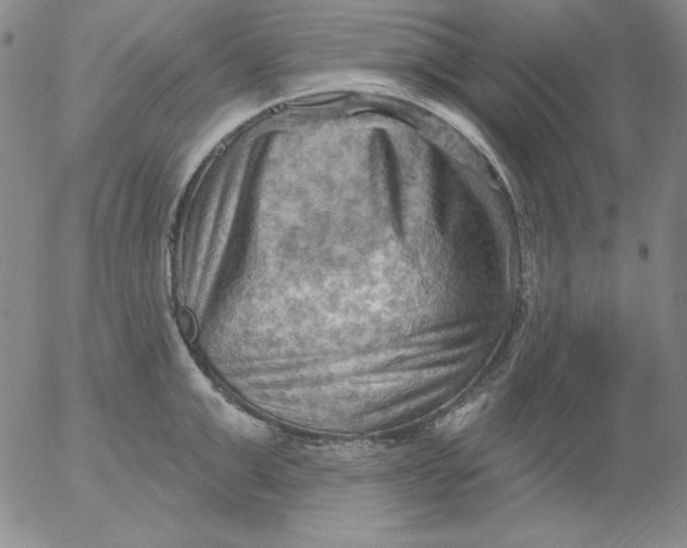 X0000053080999200508012001