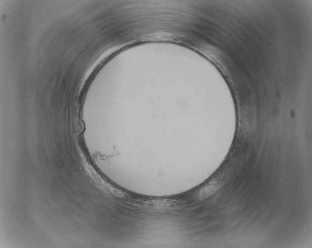 X0000053081000200508012001