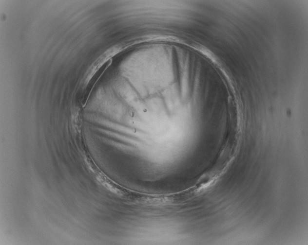 X0000053081001200508012001