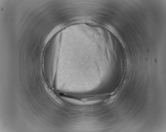 X0000053081002200508012001