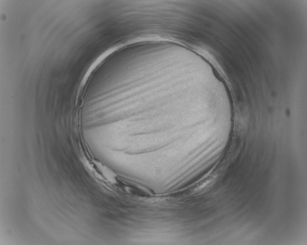 X0000053081004200508012001