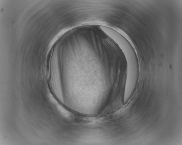 X0000053081005200508012001