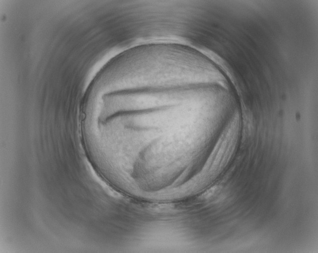 X0000053081006200508012001