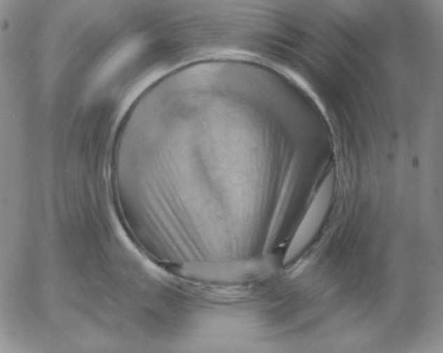 X0000053081007200508012001