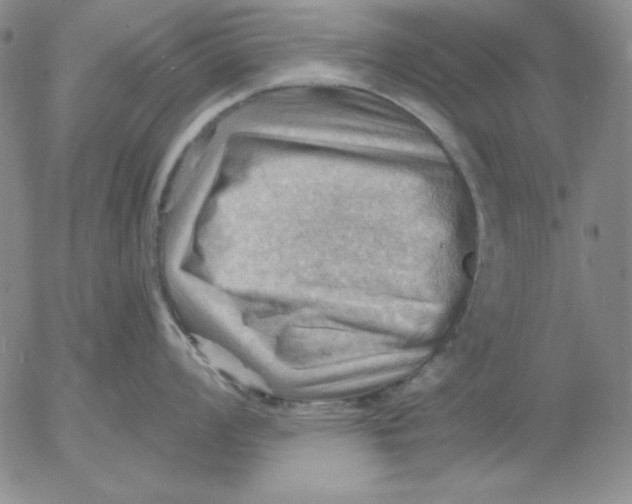 X0000053081008200508012001