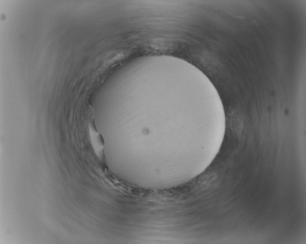 X0000053081009200508012000