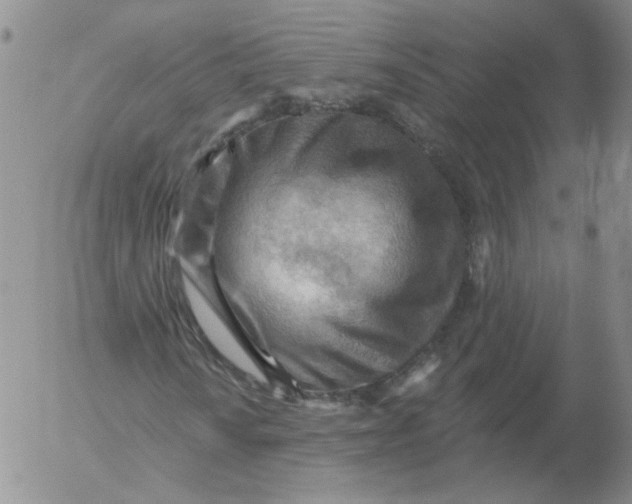 X0000053081010200508012000