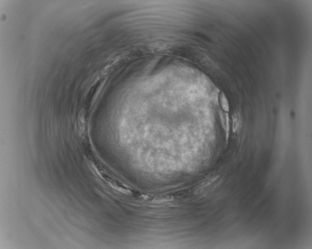 X0000053081011200508012000