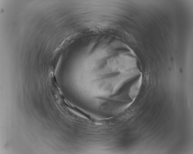 X0000053081012200508012000