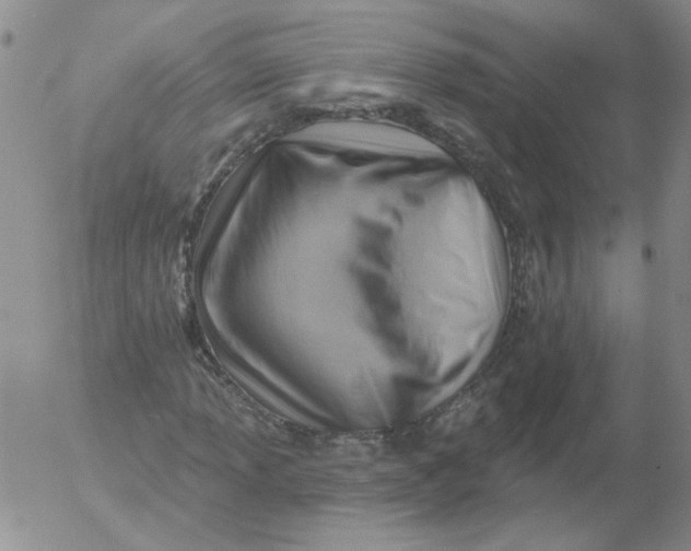 X0000053081013200508012000