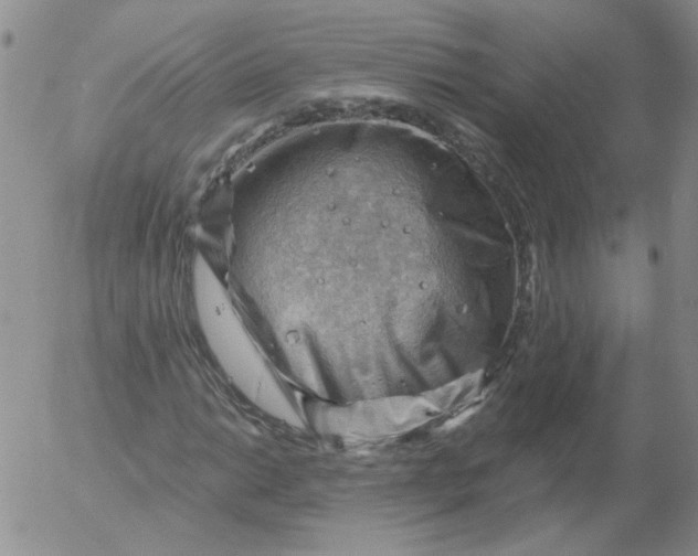 X0000053081014200508012000