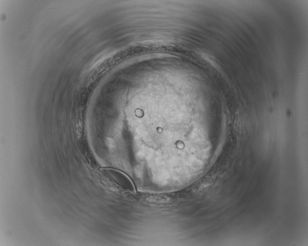 X0000053081015200508012000