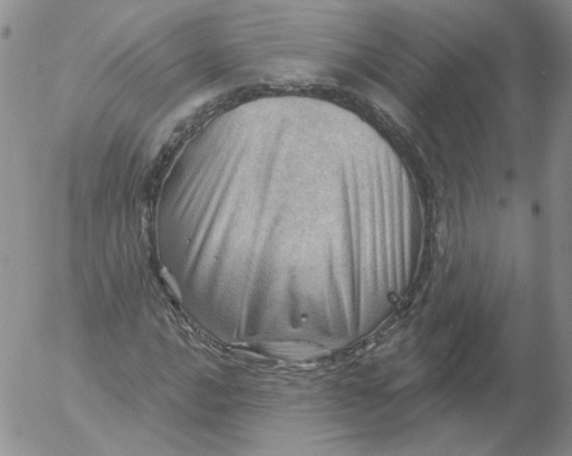 X0000053081016200508012000