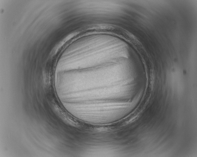 X0000053081017200508012000