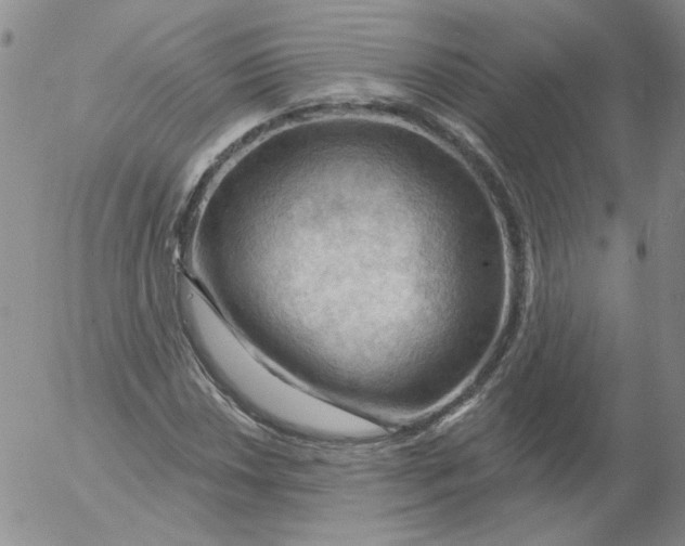 X0000053081018200508012000