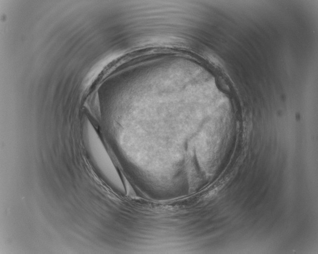 X0000053081019200508012000