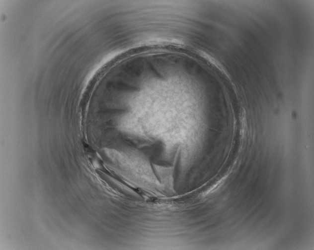 X0000053081021200508012000