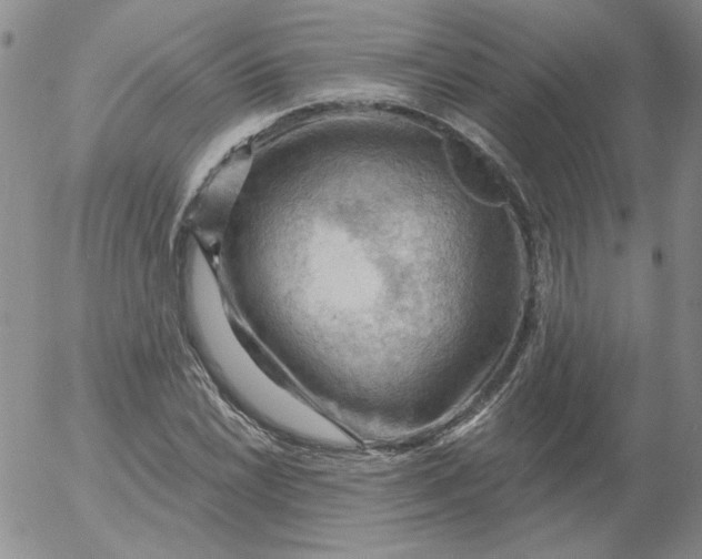 X0000053081022200508012000