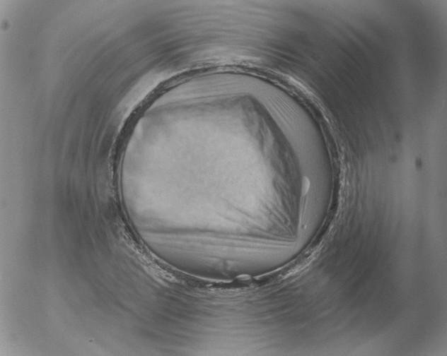 X0000053081023200508012000