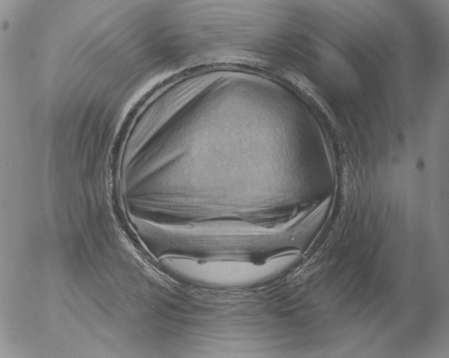 X0000053081024200508012001