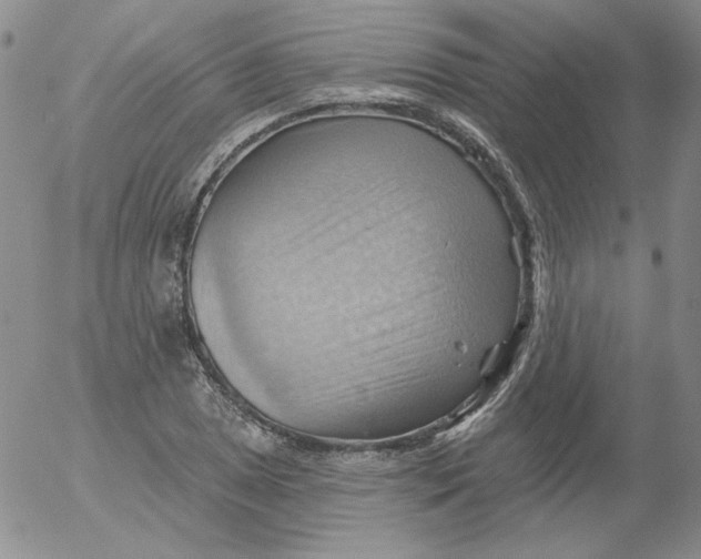 X0000053081025200508012001