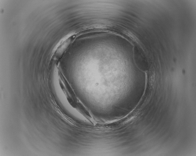 X0000053081026200508012001