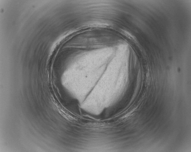 X0000053081027200508012001