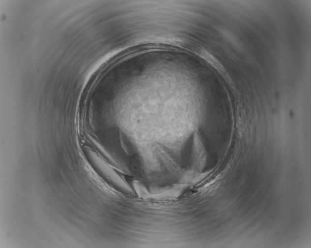 X0000053081028200508012001