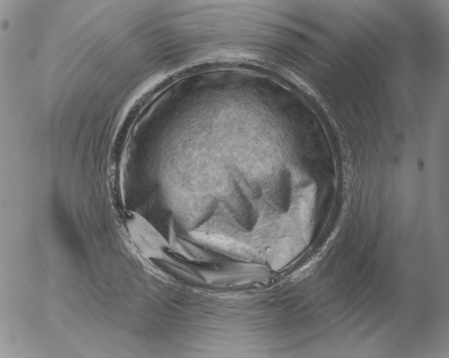 X0000053081029200508012001