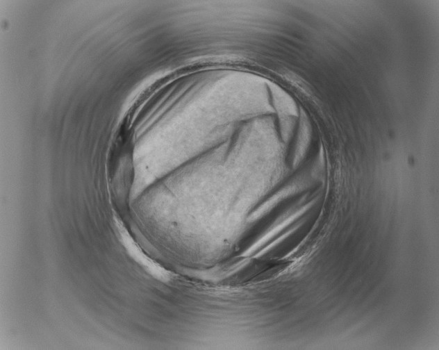 X0000053081030200508012001