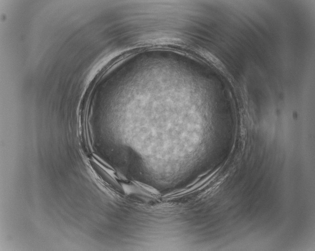 X0000053081031200508012001