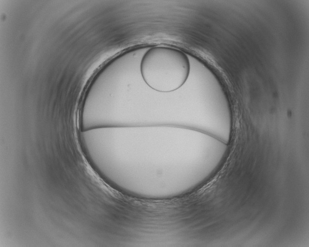 X0000053081032200508012001