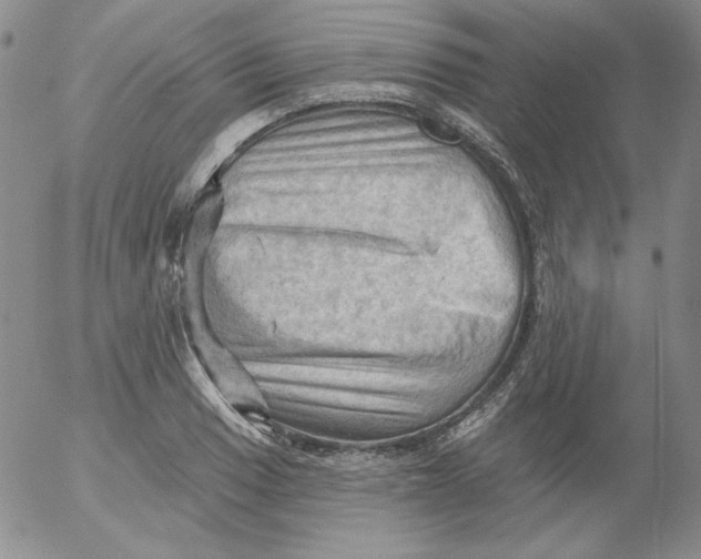 X0000053081033200508012001