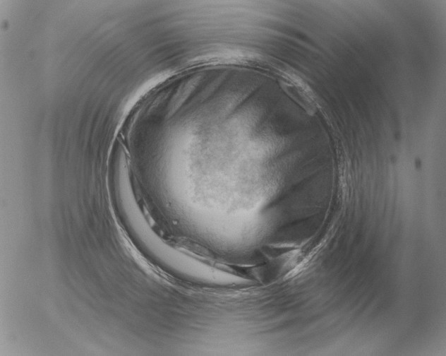 X0000053081034200508012001