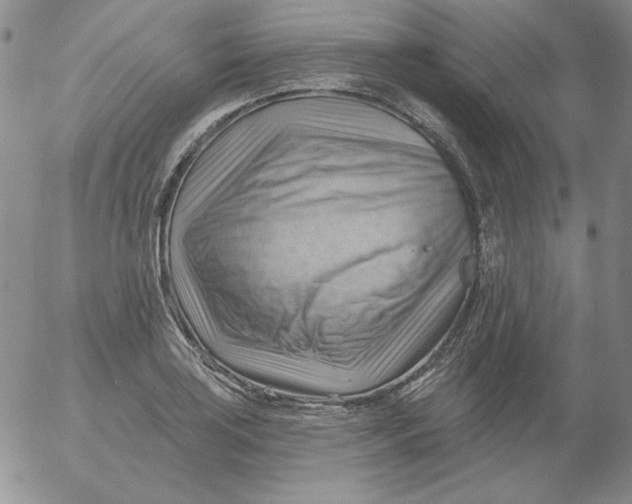 X0000053081035200508012001