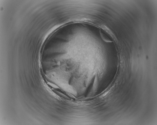 X0000053081036200508012001