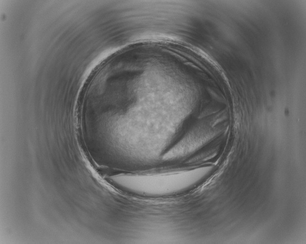 X0000053081037200508012001