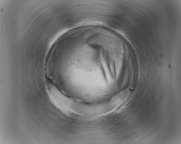 X0000053081038200508012001