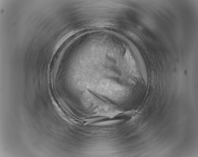 X0000053081039200508012001