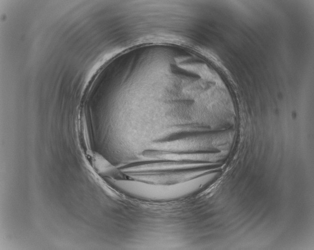 X0000053081040200508012001