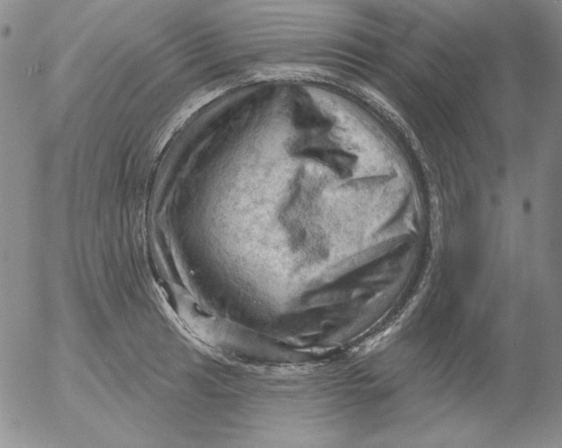 X0000053081041200508012001