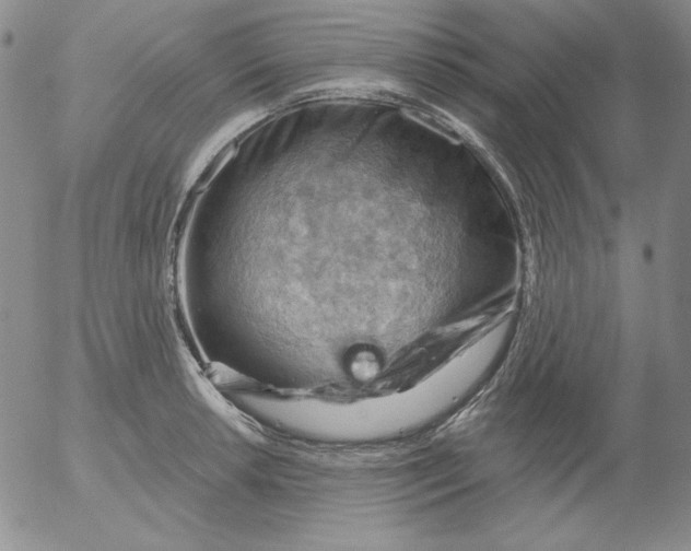 X0000053081042200508012001