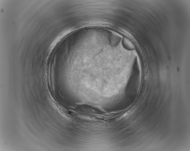 X0000053081043200508012001