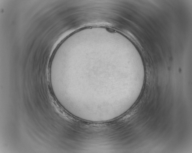 X0000053081044200508012001