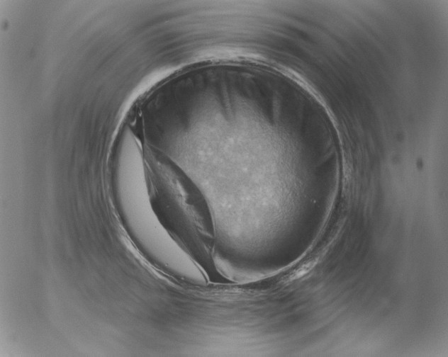 X0000053081045200508012001