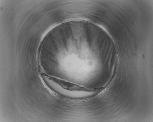 X0000053081046200508012001