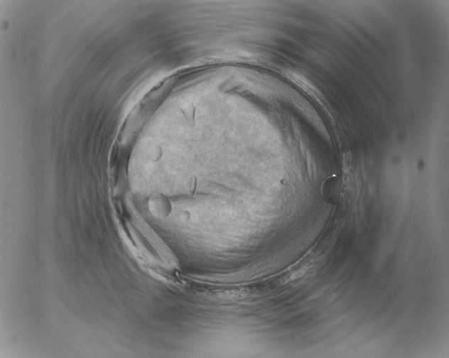 X0000053081047200508012001